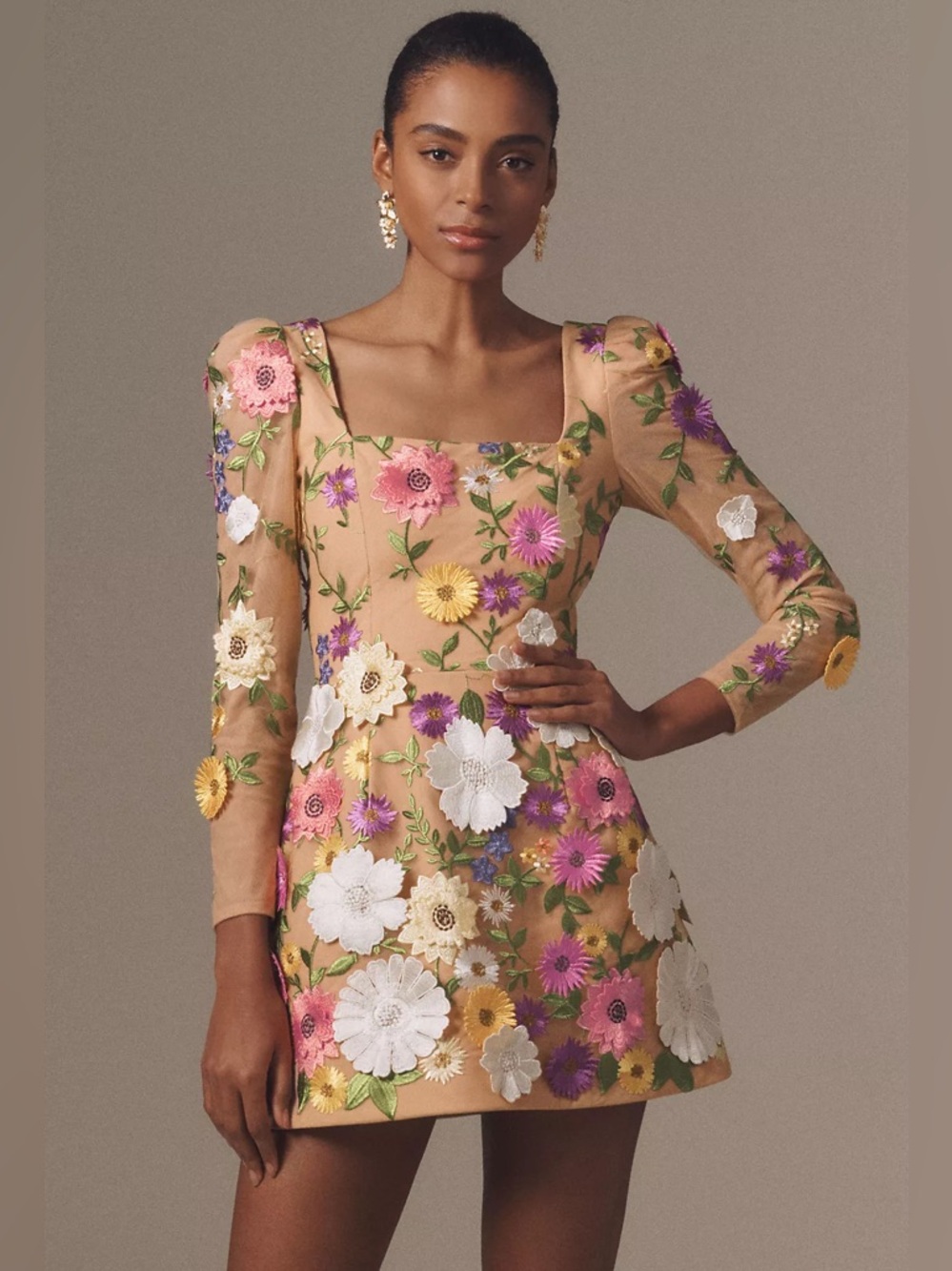 Helsi Ellen Puff-sleeve 3d Floral A-line Mini Dress In Brown size XS Preloved - Picture 2 of 10
